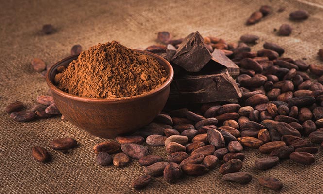 تاثیر-کاکائو-بر-هوش-انسان